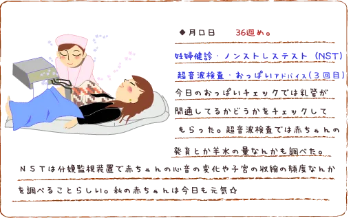 妊娠36週 『妊婦健診』