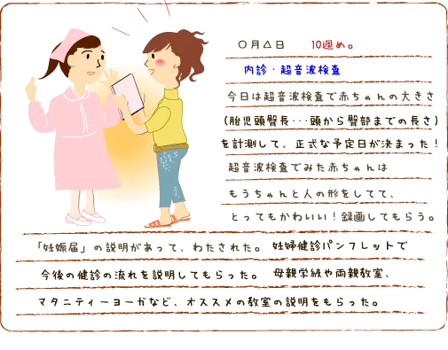 妊娠10週 診察と超音波検査