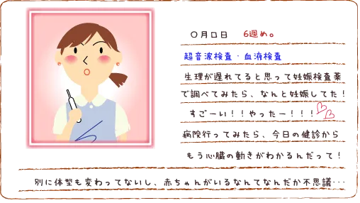 妊娠6週 診察と超音波検査